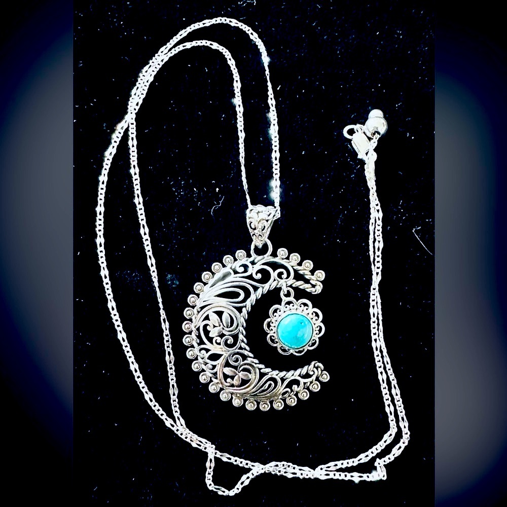 Genuine Blue Ridge Turquoise Crescent Moon SS Pendant on SS Chain Necklace NWT - Picture 3 of 12